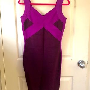 Express Cocktail Bodycon Dress